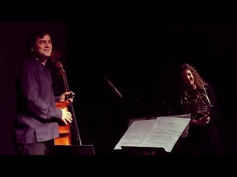 Two instruments de Morton Feldman | Martín Devoto y Delphine Gauthier Guiche @conDIT 2013 5