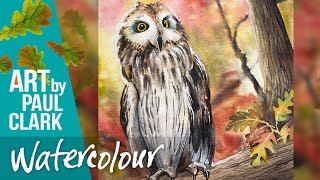How to Paint an Owl in Watercolour