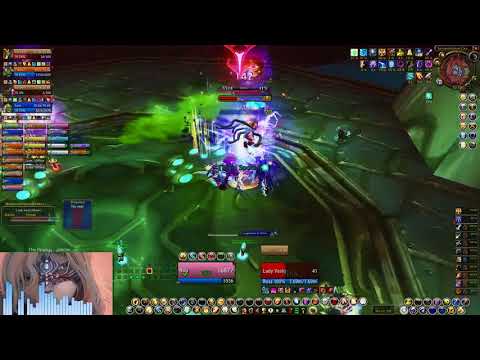 WarGate Project 2.4.3 - Lady Vashj vs Momentum - Serpentshrine Cavern