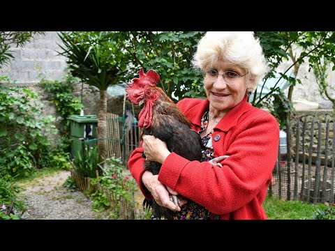 Hahn Maurice darf weiter krähen | AFP