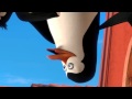 The Penguins Of Madagascar Official Viral Video Mission Cuba 2014 Animation HD