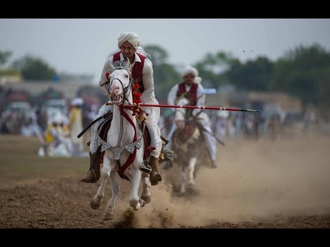 Day 5 Part 17 National championship of Neza Bazi 2018 Faisalabad Agriculture University Tent Pegging