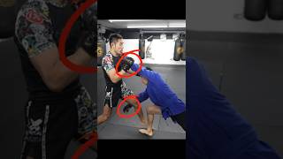 Download lagu Takedown from combat sambo mp3 Download lagu Takedown from combat sambo mp3
