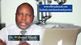 Dr. Wilbroad Mutale Introduction