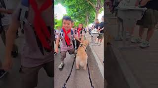 dog's birthday