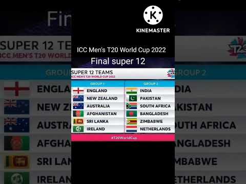 ICC Men's T20 World Cup 2022 final super 12