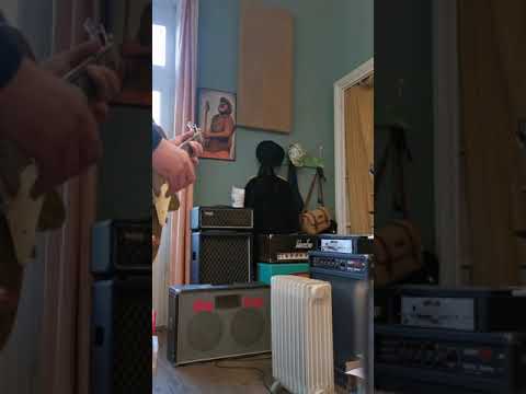 1971 Celestion G12M T1221 with 75Hz Pulsonic cones (x2) image 6