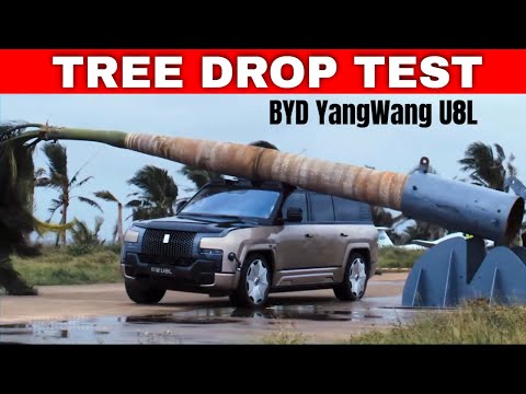 BYD YangWang U8L Tree Drop Test: The Moment That Shocked Everyone