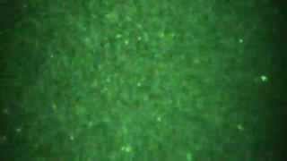 Several UFOs Pass, Climb & Disappears into Night Sky! 7-31-13