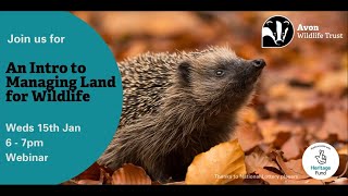 Intro to managing land for wildlife