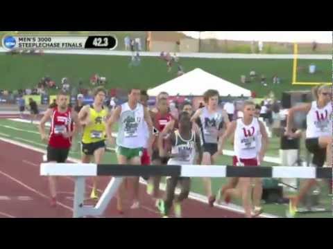 Mens steeplechase final NCAA DII 2012 track and field
