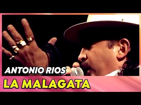 Antonio Ríos - La Malagata