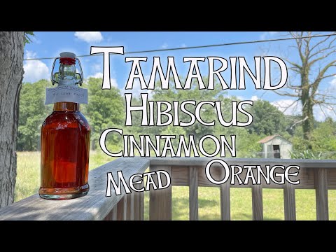 Tamarind, Hibiscus, Cinnamon, & Orange Mead // Start to Tasting