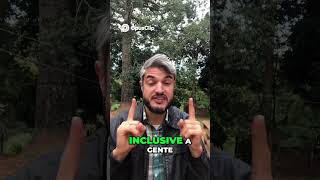 SAIBA A FORMA CERTA PARA EVITAR O PIOR