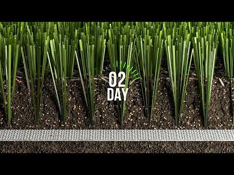 Hybrid Grass System
