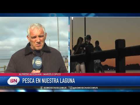 ​🎣 CHASCOMÚS: COMIENZA LA VEDA DEL PEJERREY PARA PROTEGER LA ESPECIE