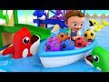 Dolphins Color Balls Tumbling Toy Set 3D - Little Baby Learning Colors for Children Kids Educational