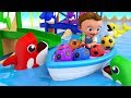 Dolphins Color Balls Tumbling Toy Set 3D Little Baby Learning Colors For Children Kids Educational