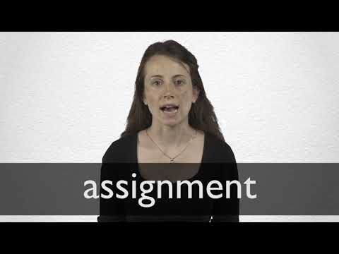 meaning of the assignments