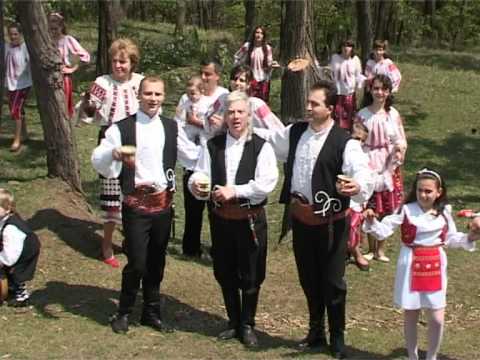 Nemuritorii  - Cutitas cutit, cutit (SPIROS GALATI