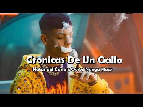 Natanael Cano x Ovi x  Ñengo Flow - Cronicas De Un Gallo