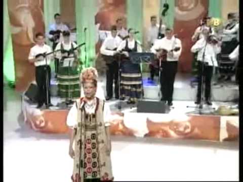 Vila - Zasvirel Stojan