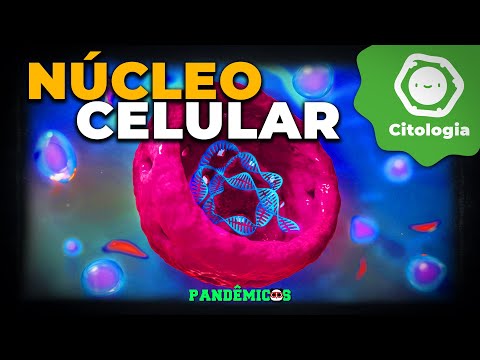 Núcleo Celular