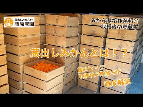 オレンジの木はどのくらいの温度に耐えることができますか?凍っていますか？冬に凍ってしまった場合の復活方法は？  庭園