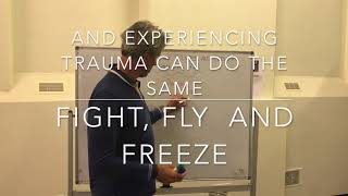 CHRONIC ILLNESSES ORIGINATE FROM TRAUMA | an explanation based on Gabor Maté's work