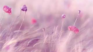 Download lagu 3 HOURS Best Relaxing Music 'Romantic Piano  Background Music for Stress Relief, Therapy, Love mp3