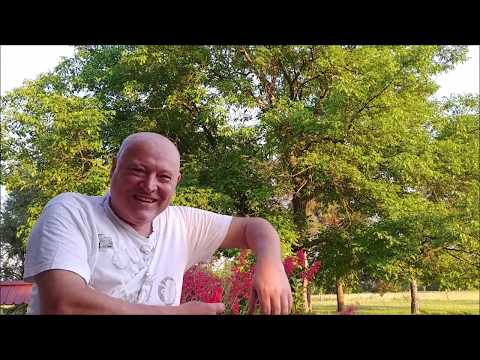 BELE ROŽE IZ ATEN - NACE JUNKAR, 2020