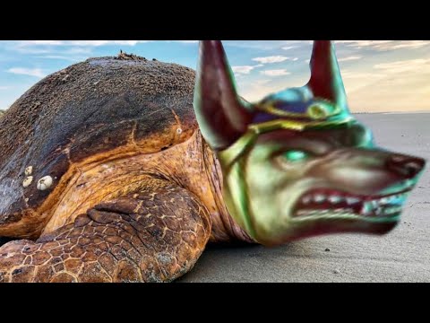 NO MOBILITY ITEMS ANUBIS CHALLENGE WITH LIKE 1000 PING IN DUEL! - Masters Ranked Duel - SMITE