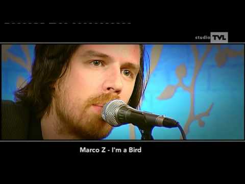 Marco Z - I'm a bird (accoustic)