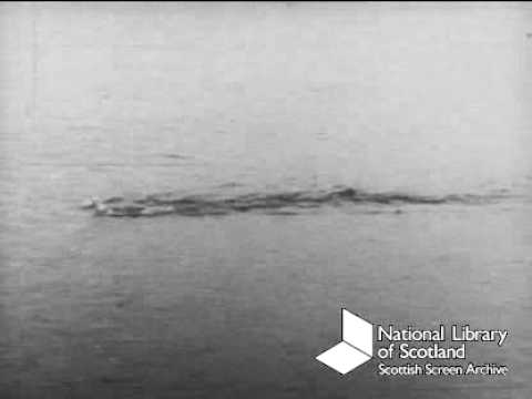 O monstro do lago Ness?