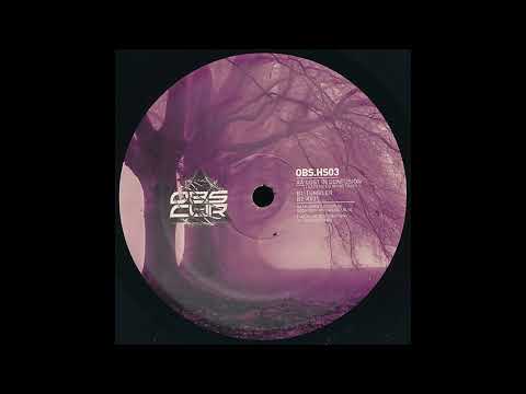 Obs.Cur HS03 - Teknoizer - B1 - Tumbler