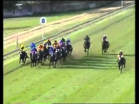 GOLDEN HORSE CASINO SPRINT  2011(Grade 1)