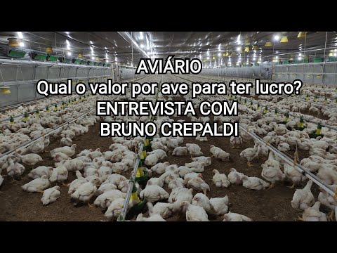 , title : 'AVIÁRIO - Qual o valor por ave para ter lucro? - ENTREVISTA COM BRUNO CREPALDI'