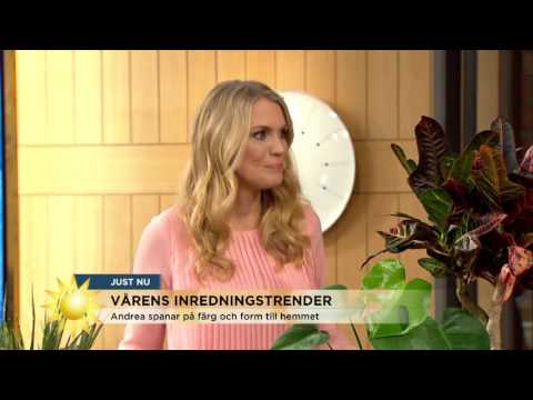 Här är vårens hetaste inredningstrender - Nyhetsmorgon (TV4)