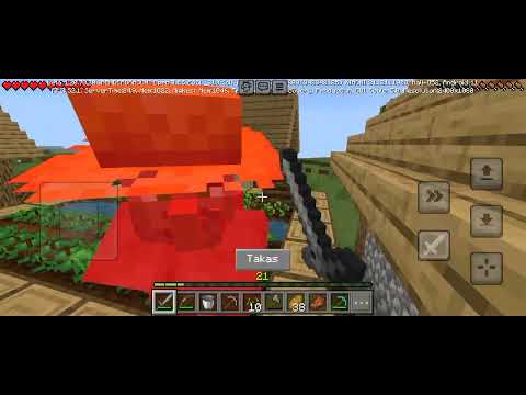 SEZON 2 MİNECRAFT MODSUZ SURVİVAL BÖLÜM 21 - KÖYLÜ KATLIYAMI