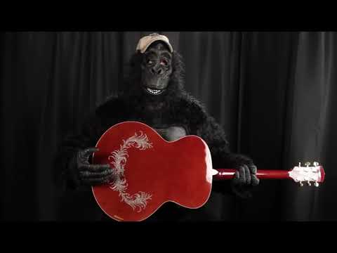 Estaban Rock On Collection 2009 Limited Edition Acoustic/Electric Amber Ice Guitar Extremely Rare image 19