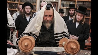 כ''ק האדמו''ר מרחמסטריווקא בקריאת התורה | rhimiztrivka rabbi