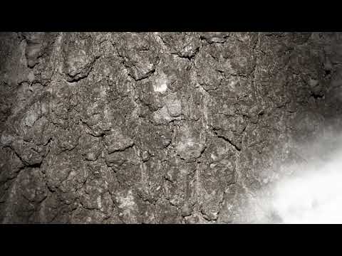 Blaga Videc, Sudbo moja, sudbino