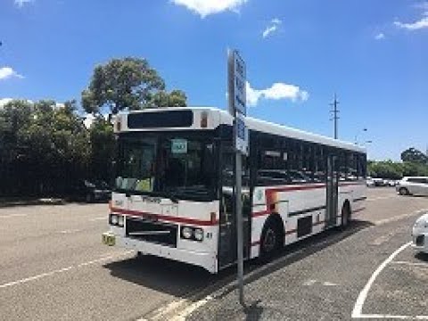 PlanB Busses and History + Caringbah Transdev Busses