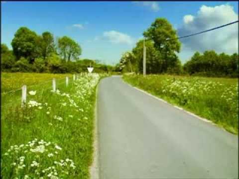 Minuscule | The ladybug