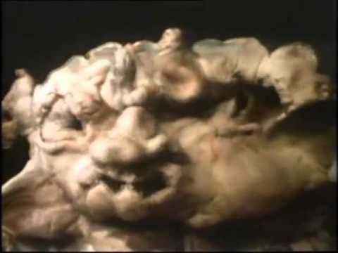 Video thumbnail for City of Tiny Lites