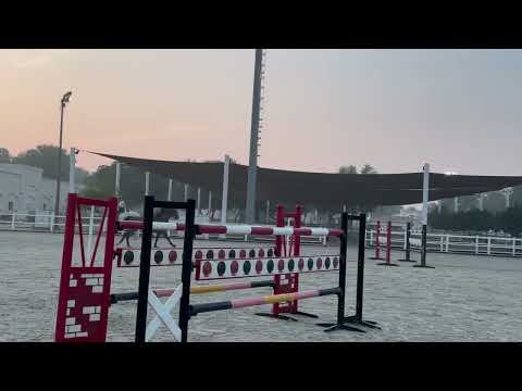 Casanova De Beaufour DXB (Training at home ~ 165cm!!)