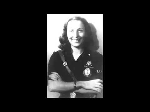 DIAN ft  Serena   SAF Hobbit cover