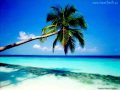 Cuba Club - Cuba 