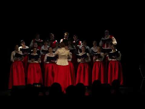 Польская НП в обр. Д.Мортимера "Хей, соколы/Hej Sokoły" (хор Polaris)