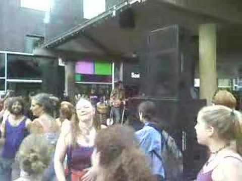 Horsefly video